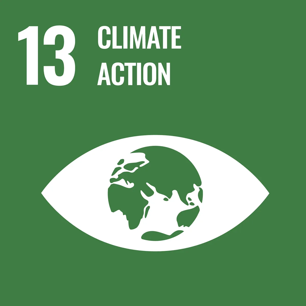 Icon der UN-Ziele für nachhaltige Entwicklung 13: Klimaschutz.